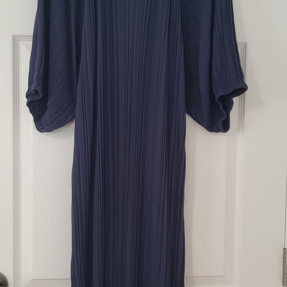 Zara Dark Navy Pleated Long-Sleeve Midi Dress